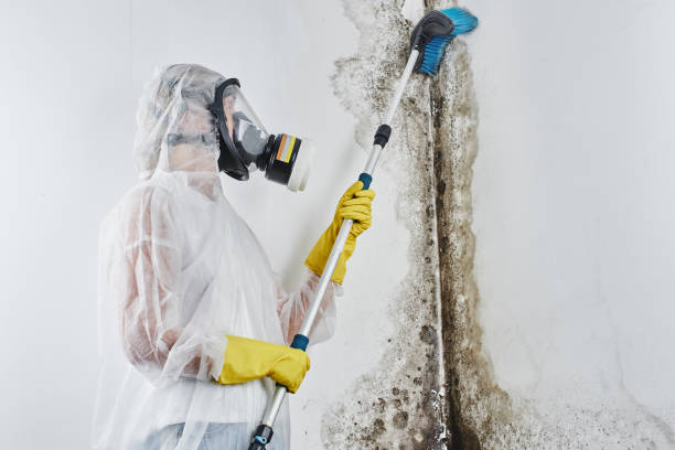 Best Crawl Space Mold Removal  in New Roads, LA