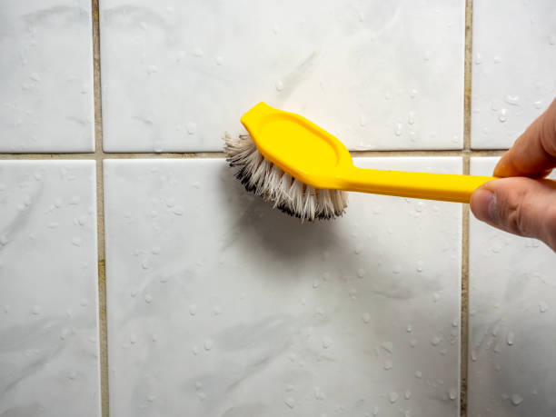 Best Certified Mold Removal  in New Roads, LA