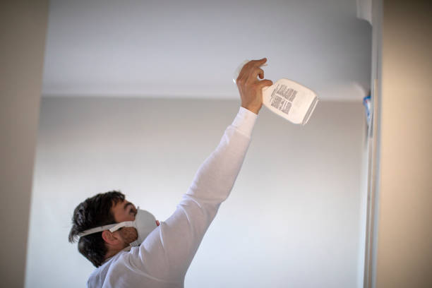 Trusted New Roads, LA Mold Removal Experts