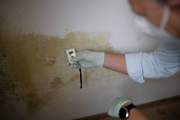 Best Mold Testing  in New Roads, LA